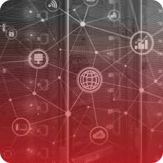 Fabric Network
